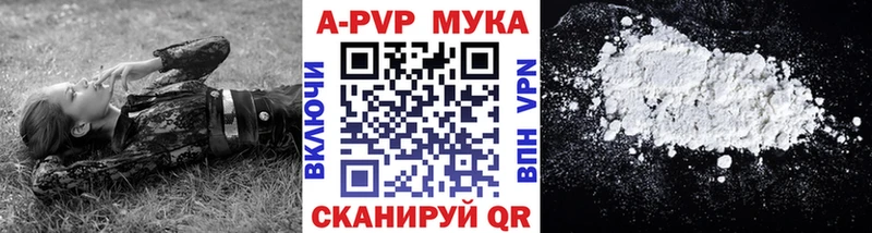 Где купить наркоту Новая Ладога Cocaine  Alpha-PVP  Псилоцибиновые грибы  Конопля  АМФЕТАМИН  МЕФ  Гашиш 