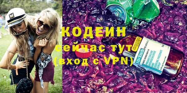 прущие грибы Новодвинск