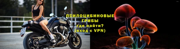 a pvp Новокубанск