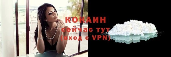 прущие грибы Новодвинск