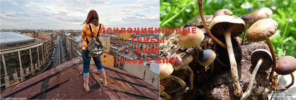 герыч Новозыбков