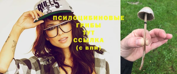 герыч Новозыбков